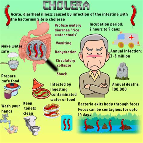 How To Prevent Cholera - Heightcounter5