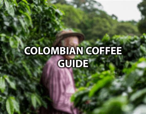 Best Colombian Coffee: Top 5 Tasty Colombian Coffee Beans