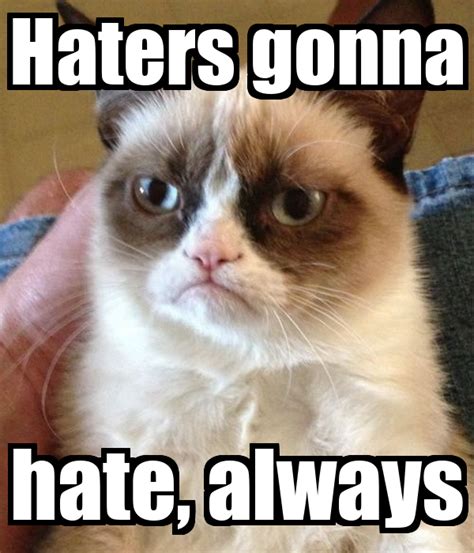 haters gonna hate unicorn MEMES