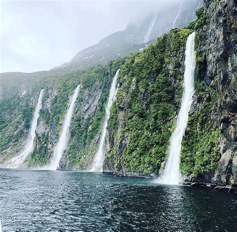 Fiordland Discovery (@fiordlanddiscovery) on Instagram: “The "4 Sisters" are stunningly mystical ...