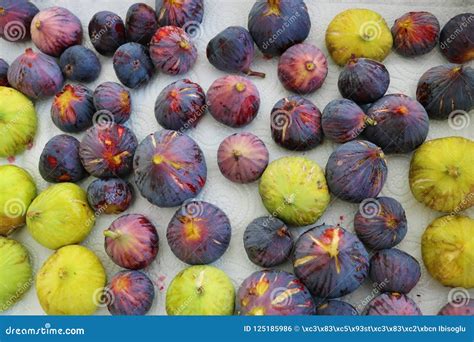 Figs. Fresh Organic Figs. Purple and Green Figs Stock Photo - Image of ...