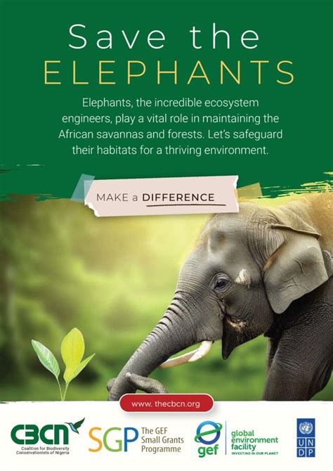 Elephant Project – Coalition for Biodiversity Conservationists of Nigeria (CBCN)