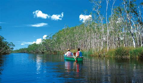 92: Canoe through the Noosa Everglades (Qld) | Australian Traveller