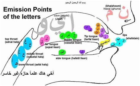 17 Best images about Arabic Pronunciation on Pinterest | Parents ...