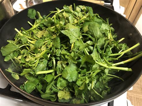 Chinese Watercress With Garlic Stir Fry 西洋菜 • Oh Snap! Let's Eat!