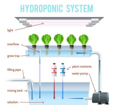 What Is The Environmental Impact Of Hydroponics?