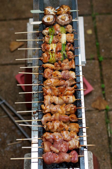 Japanese Yakitori Charcoal Grill Sales USA | library.ecosystem.build