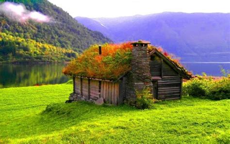 beautiful cabin | Grass roof, Green roof, Beautiful places