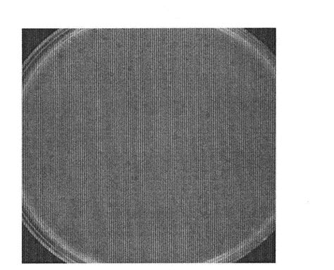 A kind of preparation method of snake venom thrombin-like protein - Eureka | Patsnap develop ...