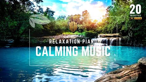 20 Minutes Nature Relaxing Music & Sound Forest for Relaxation ...