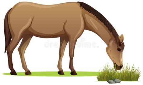 Horse Eating Grass Stock Illustrations – 175 Horse Eating Grass Stock Illustrations, Vectors ...