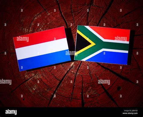 Dutch flag with South African flag on a tree stump isolated Stock Photo ...