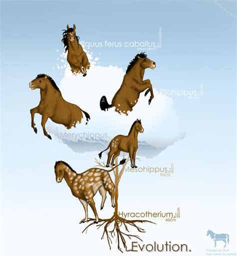 Horse evolution. by ClockworkNightmare on DeviantArt