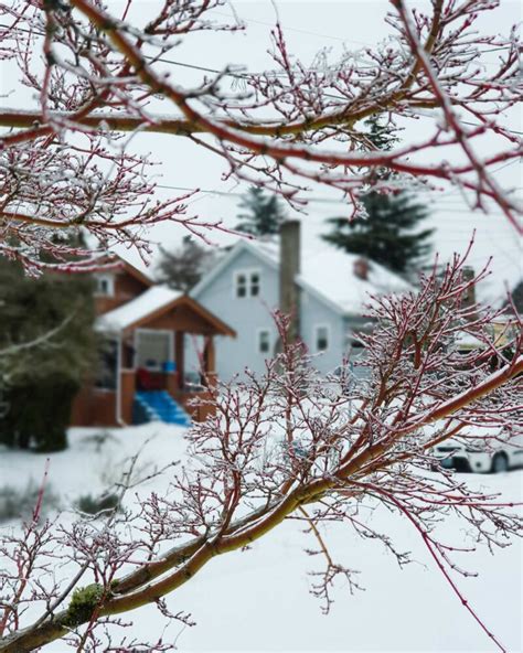 Snow in Portland: Urban skiing & sledging for groceries