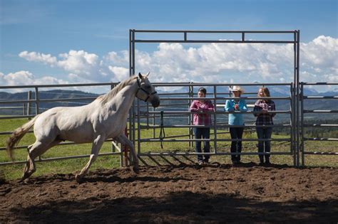 This Sunday: Season 10 Mid-Season Finale - Heartland