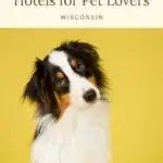 15 Best Pet-Friendly Hotels in Milwaukee, WI - Paulina on the road