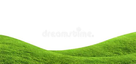 Green Grass Texture Background Isolated on White Background. Stock ...