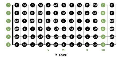 Most Popular Beginner Guitar Chords Chart | Musician Tuts