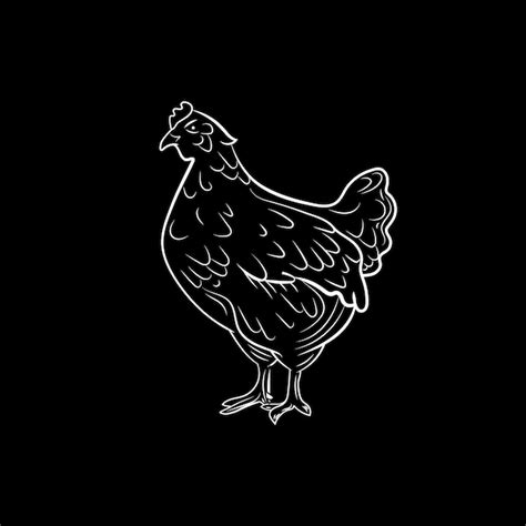 Premium Vector | Vector chicken outline chalk drawn sketch isolated on ...