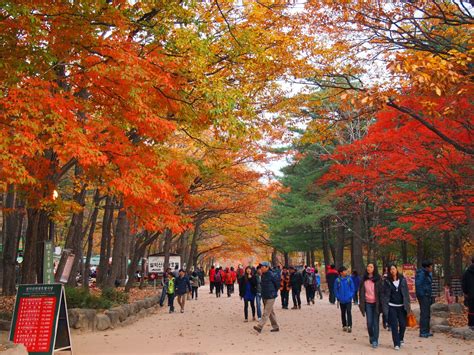 Final Fall Encounters at Seoraksan National Park |Seoul Searching