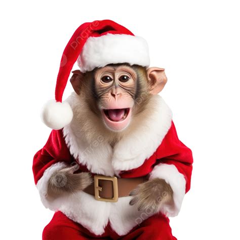 Cute Monkey Celebrating Christmas Wearing Santa Claus Uniform, Santa Bag, Santa Gift, Cute Santa ...