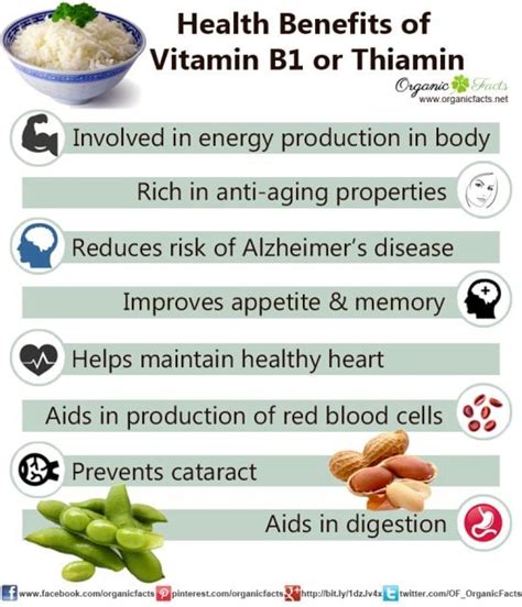 11 Impressive Benefits of Vitamin B1 or Thiamine | Organic Facts