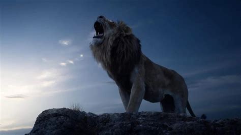 Lion King 2019 Wallpapers - Wallpaper Cave