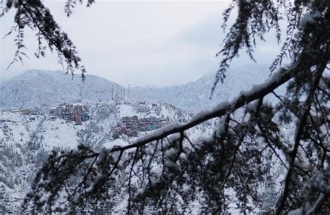 Shimla receives season’s first heavy snowfall - The News Himachal