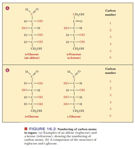 Sugars: Their Structures and Stereochemistry