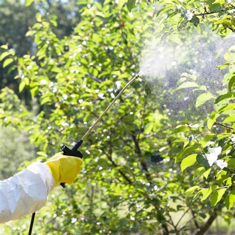 Pest Control, San Jose, CA | About Us | Earl's Pest Control