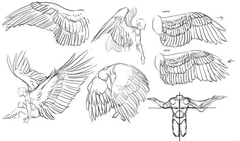 wings by fox-wings | Wings drawing, Art reference poses, Wings art