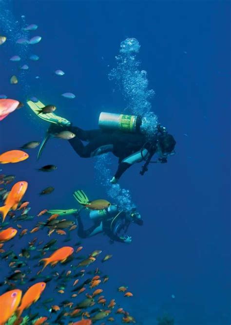 Underwater diving | Safety, Equipment & Techniques | Britannica