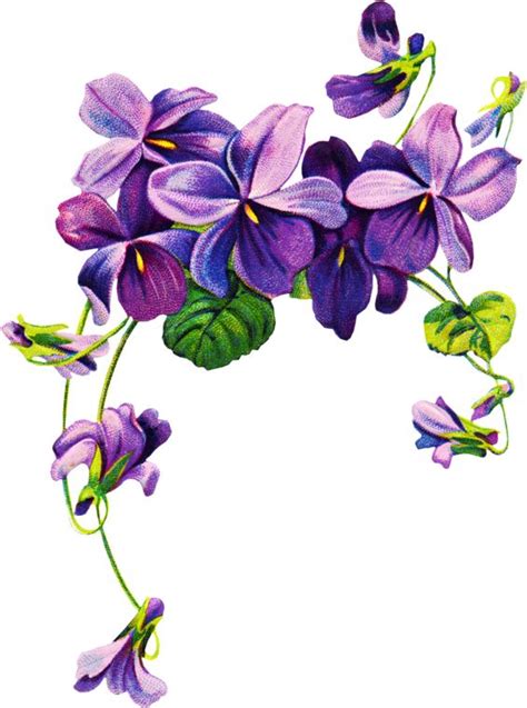 Violet Flower Clip Art - ClipArt Best