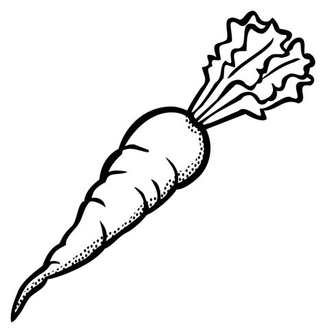 carrot - lineart - Openclipart