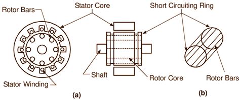 3 Phase Squirrel Cage Induction Motor Working Principle - Infoupdate.org