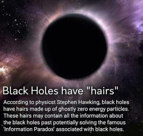 Black hole theories.