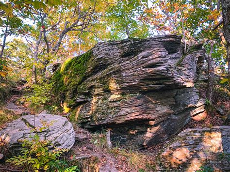 Little Ashokan | Catskills