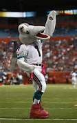 Miami Dolphins mascot - Bing Images | Miami dolphins, Dolphins, Mascot