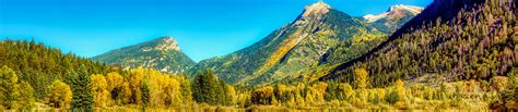 Aspen Fall Colors - Colorado State Forest Service