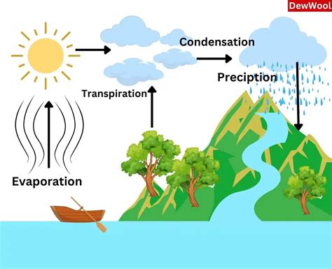 Water Cycle Process, Diagram, And Its Various Stages, 52% OFF