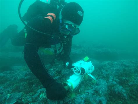 Monitoring Climate Change in the Kelp Forest With the Help of Citizen ...