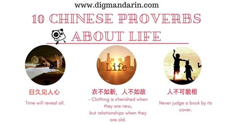 Famous chinese proverbs book - CathJim