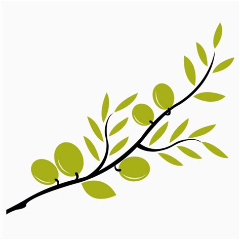 Simple Olive Branch Drawing - markanthonystudios.net