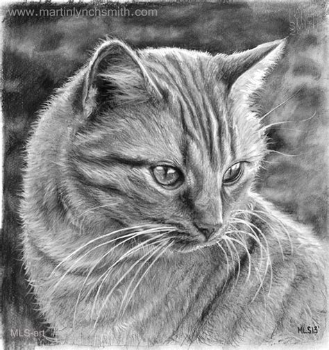 Cat Drawings - Cliparts.co