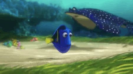 Dory GIF - Find on GIFER