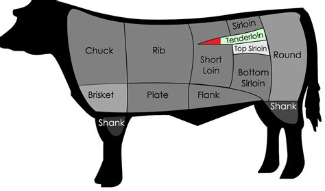 Beef Tenderloin Diagram