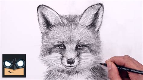 How To Draw a Fox | Sketch Tutorial (Step by Step) - YouTube