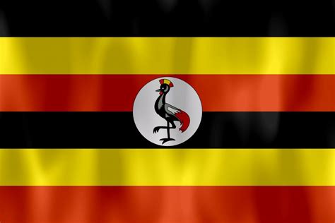 drapeau ouganda uganda flag - DataNet - Ethernet - Internet - IP Networks - Cloud - Hosting - Africa