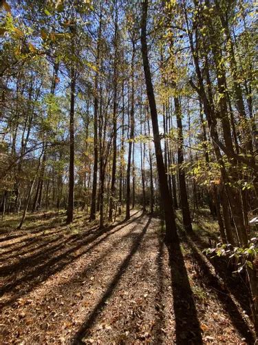 Best Hikes and Trails in Bogue Chitto State Park | AllTrails