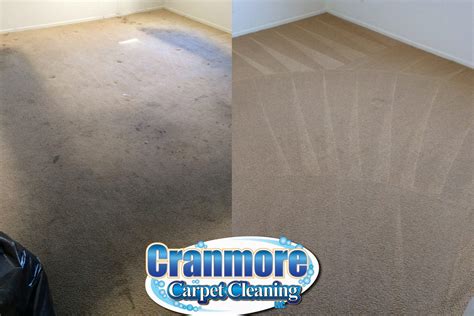 Carpet Cleaning | Cranmore Carpet Cleaning LLC